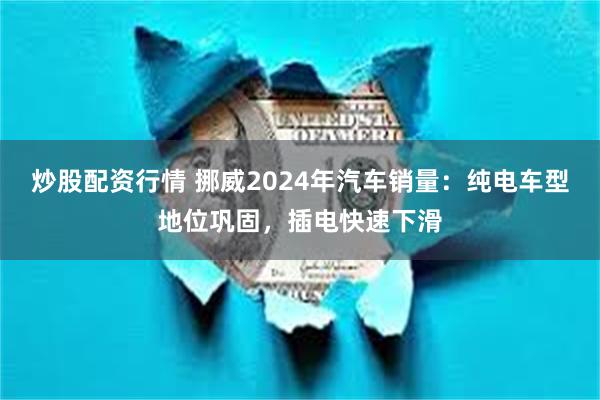 炒股配资行情 挪威2024年汽车销量：纯电车型地位巩固，插电快速下滑