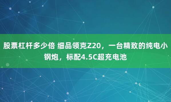 股票杠杆多少倍 细品领克Z20，一台精致的纯电小钢炮，标配4.5C超充电池