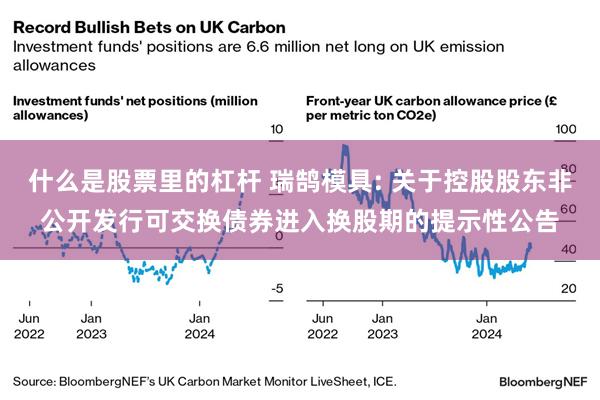 什么是股票里的杠杆 瑞鹄模具: 关于控股股东非公开发行可交换债券进入换股期的提示性公告