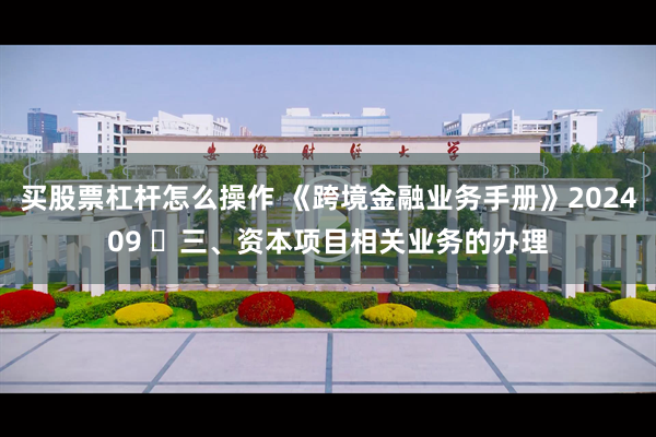 买股票杠杆怎么操作 《跨境金融业务手册》202409 ​三、资本项目相关业务的办理