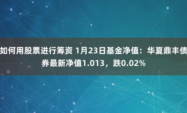 如何用股票进行筹资 1月23日基金净值：华夏鼎丰债券最新净值1.013，跌0.02%