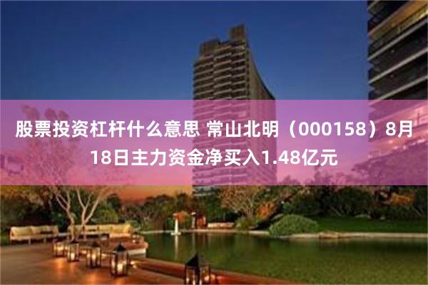 股票投资杠杆什么意思 常山北明（000158）8月18日主力资金净买入1.48亿元